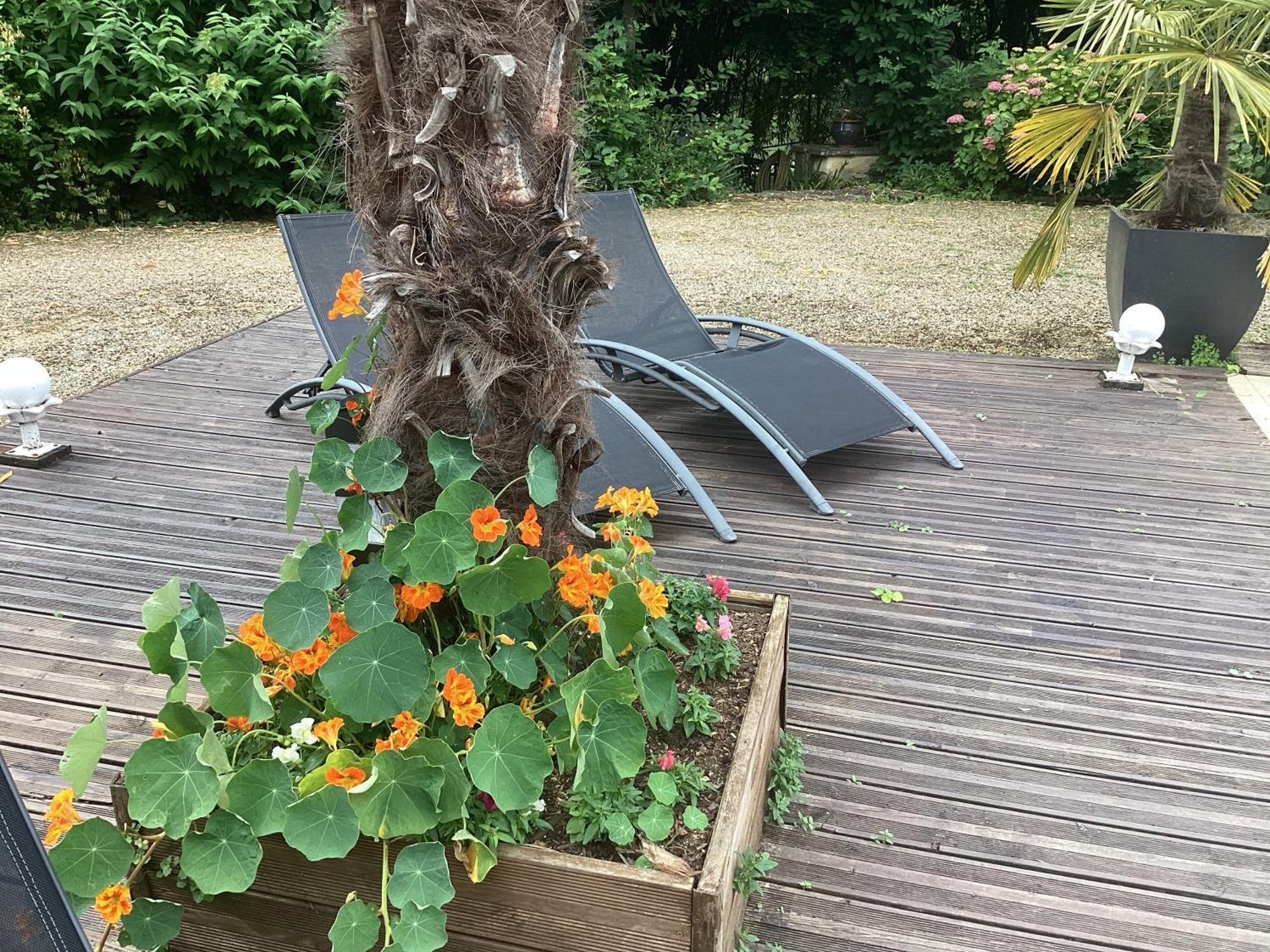 Le Lavoir Bed & Breakfast Chateauroux Bagian luar foto