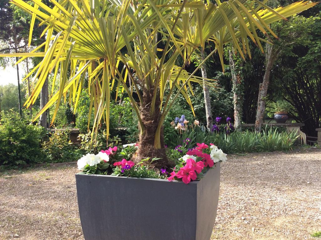 Le Lavoir Bed & Breakfast Chateauroux Bagian luar foto
